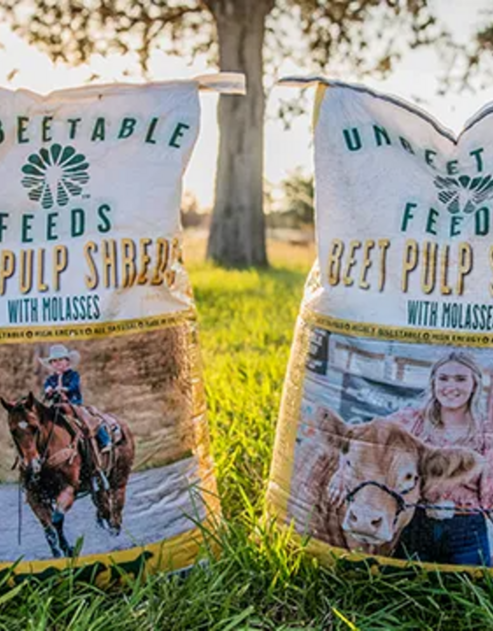 Unbeetable Feeds Beet Pulp Shreds with Molasses - 30 lb