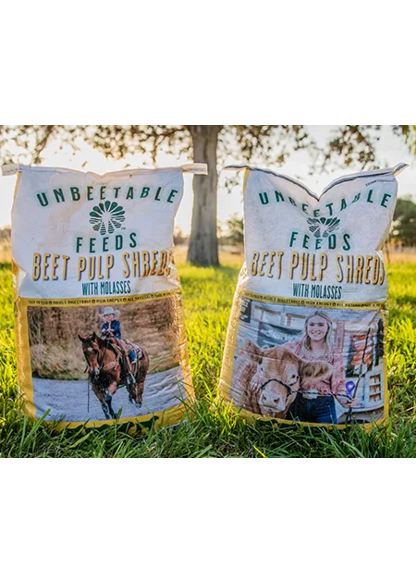 Unbeetable Feeds Beet Pulp Shreds with Molasses - 30 lb