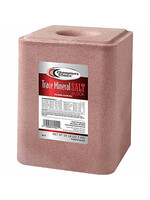 Champion's Choice Champion's Choice Trace Mineral Salt Block - 50 lb