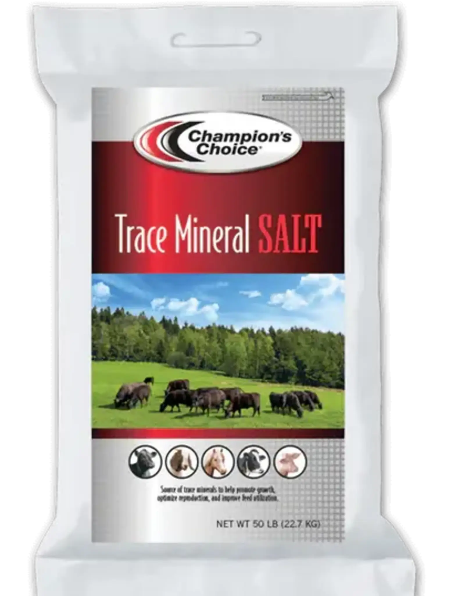 Champion's Choice Champion's Choice Trace Mineral Granulated Salt - 50 lb