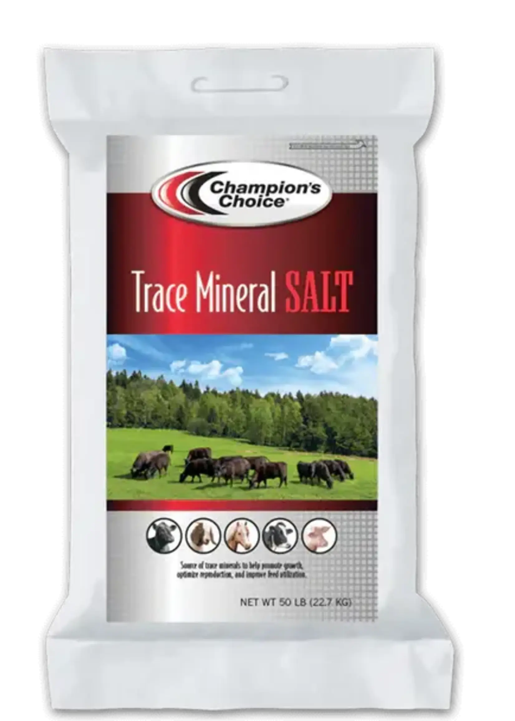 Champion's Choice Champion's Choice Trace Mineral Granulated Salt - 50 lb