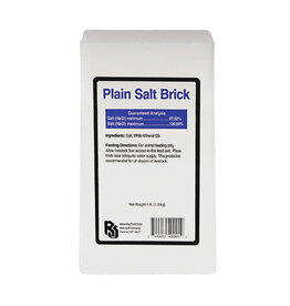 Roto Salt Company Roto Plain White Salt Brick Single - 4 lb
