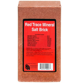 Roto Salt Company Roto Red Trace Mineral Salt Brick Single - 4 lb