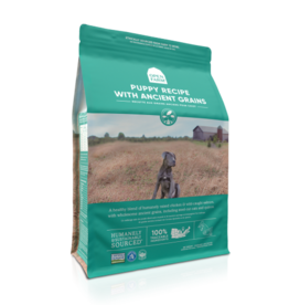 Open Farm Puppy Chicken, Salmon & Ancient Grains Dry Dog Food - 22 Lb