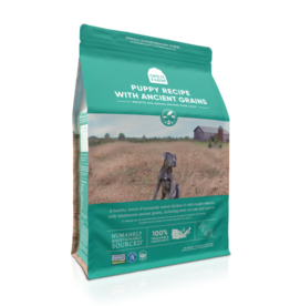Open Farm Puppy Chicken, Salmon & Ancient Grains Dry Dog Food - 4 Lb