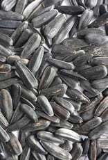 Black Oil Sunflower Seed - 25 lb (Not Striped)