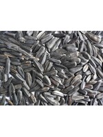 Black Oil Sunflower Seed - 50 lb