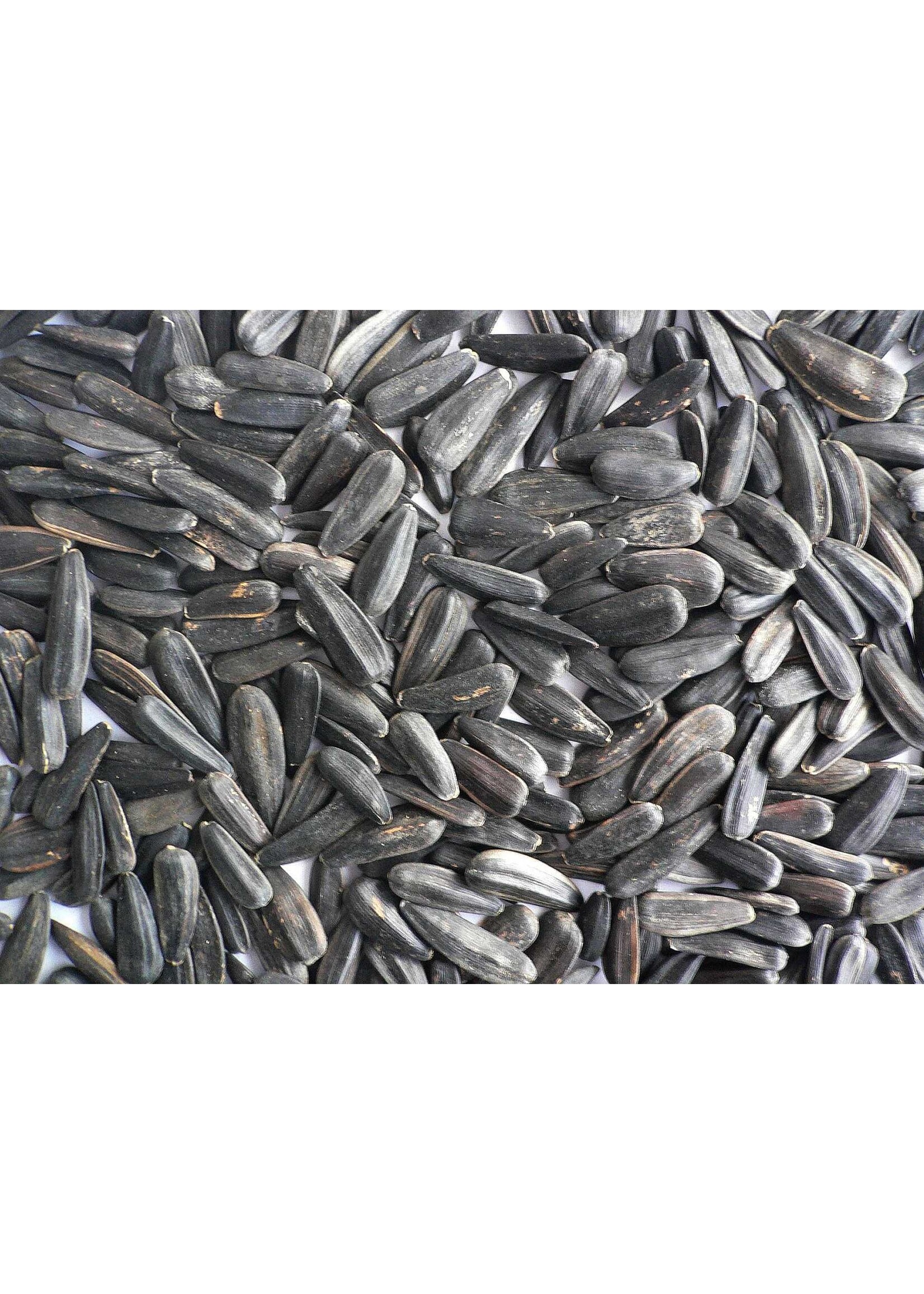 Black Oil Sunflower Seed - 50 lb