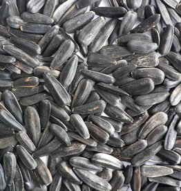 Black Oil Sunflower Seed - 50 lb