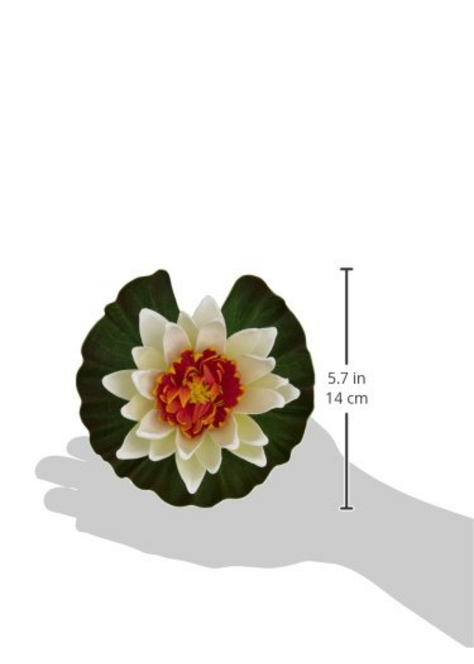 Tetra Tetra Pond Assorted Colors Floating Water Lilies - Pack of 12