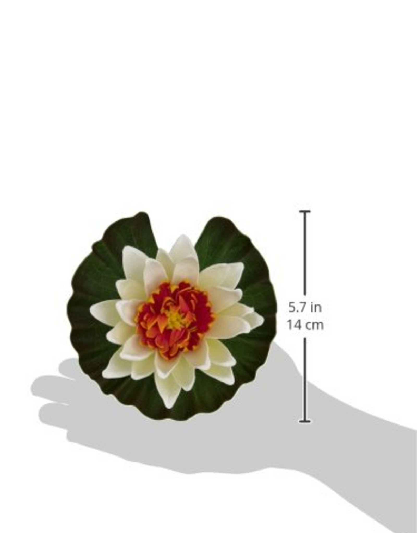 Tetra Tetra Pond Assorted Colors Floating Water Lilies - Pack of 12