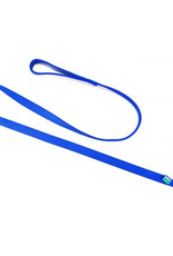 Coastal Pet Products Coastal Nylon Double Dog Collar & Double Ply Dog Leash 2906 - Blue, 1" X 6'