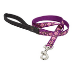 LupinePet LupinePet Dog Lead 3/4" Rose Garden 6-foot Padded Handle Leash
