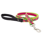 LupinePet LupinePet Dog Lead 3/4" Petunia 6-foot Padded Handle Leash