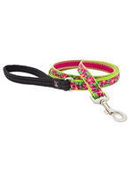 LupinePet LupinePet Dog Lead 3/4" Petunia 6-foot Padded Handle Leash