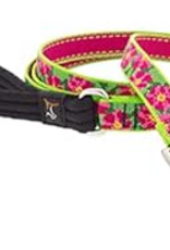 LupinePet Lupinepet Lead 3/4" Petunia 6-foot Padded Handle Leash