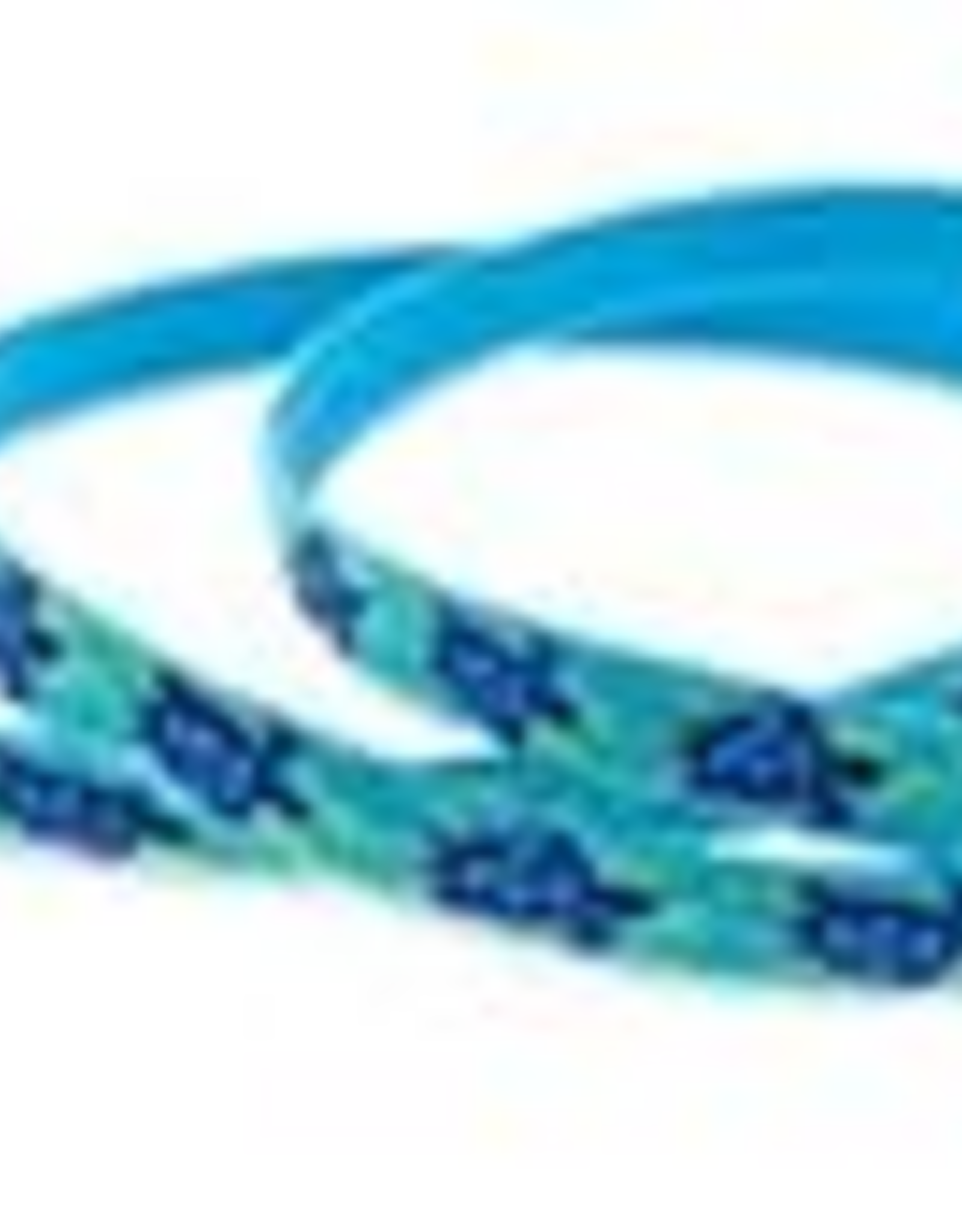 LupinePet Lupinepet Lead 1/2" Turtle Reef 6-foot Padded Handle Leash