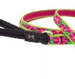 LupinePet Lupinepet Lead 1/2" Petunia 6-foot Padded Handle Leash