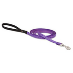 LupinePet LupinePet Dog Lead 1/2" Jelly Roll 6-foot Padded Handle Leash