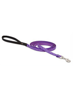 LupinePet LupinePet Dog Lead 1/2" Jelly Roll 6-foot Padded Handle Leash
