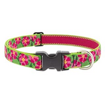 LupinePet LupinePet Dog Collar 1", 12-20" Petunias