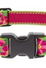 LupinePet LupinePet Dog Collar 1