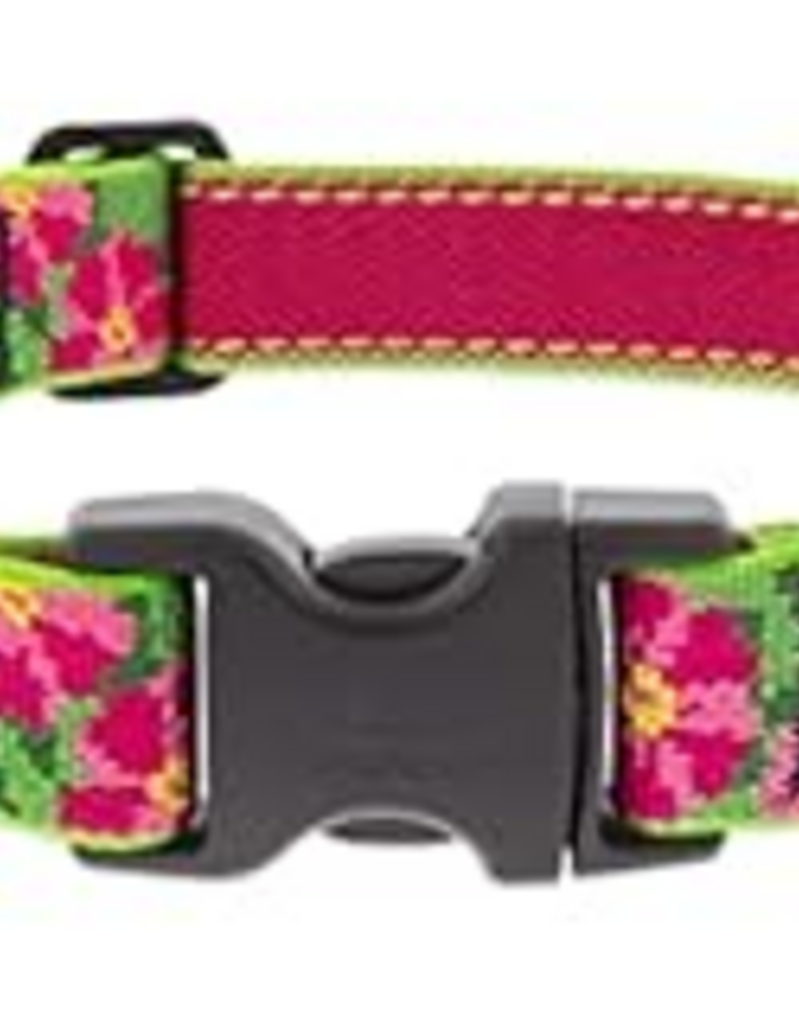 LupinePet LupinePet Dog Collar 1