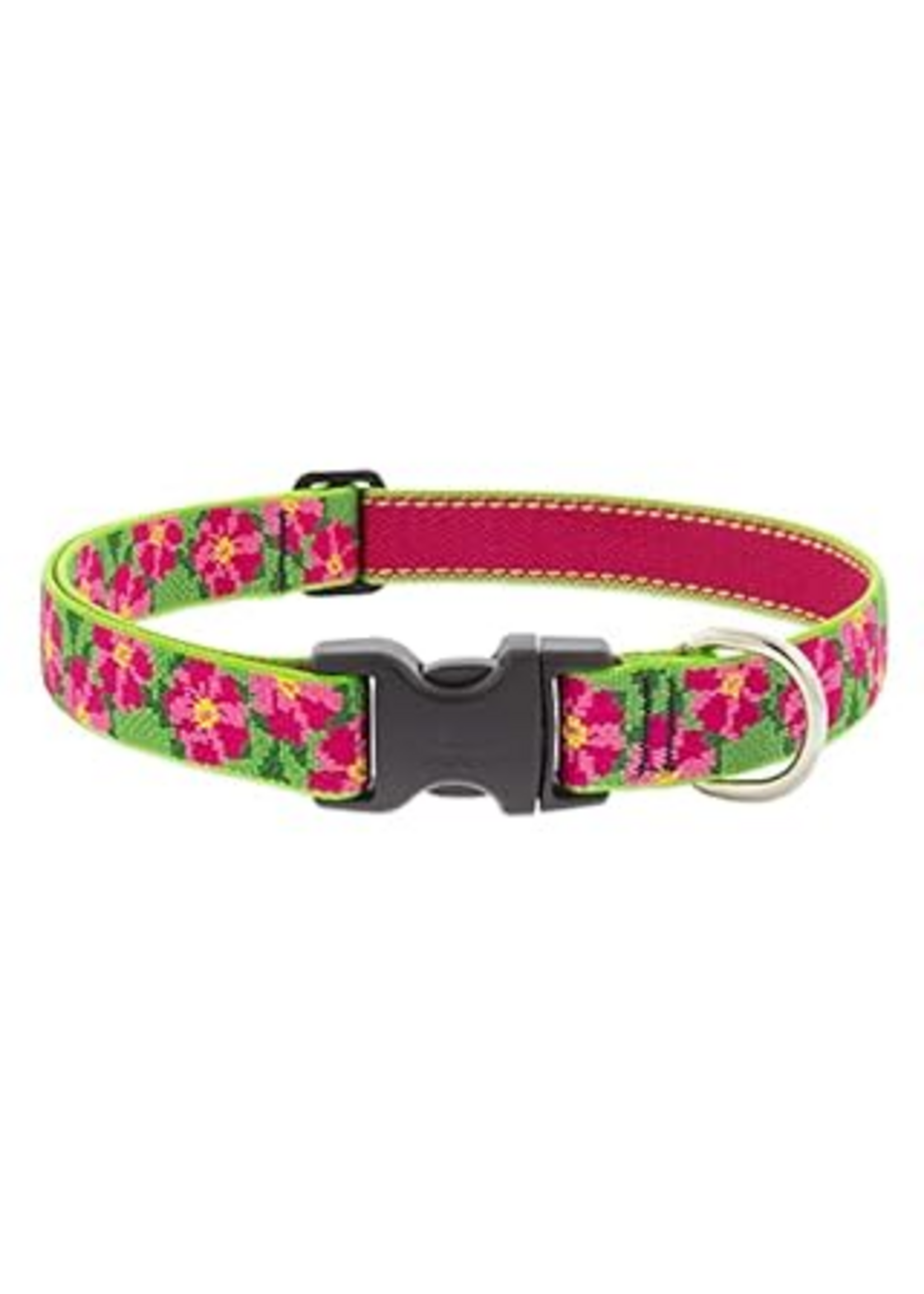 LupinePet LupinePet Dog Collar 1", 16-28" Petunias