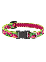 LupinePet LupinePet Dog Collar 1/2", 8-12" Petunias