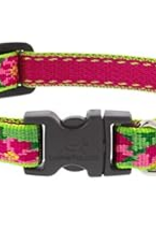 LupinePet LupinePet Collar Small Dog 1/2