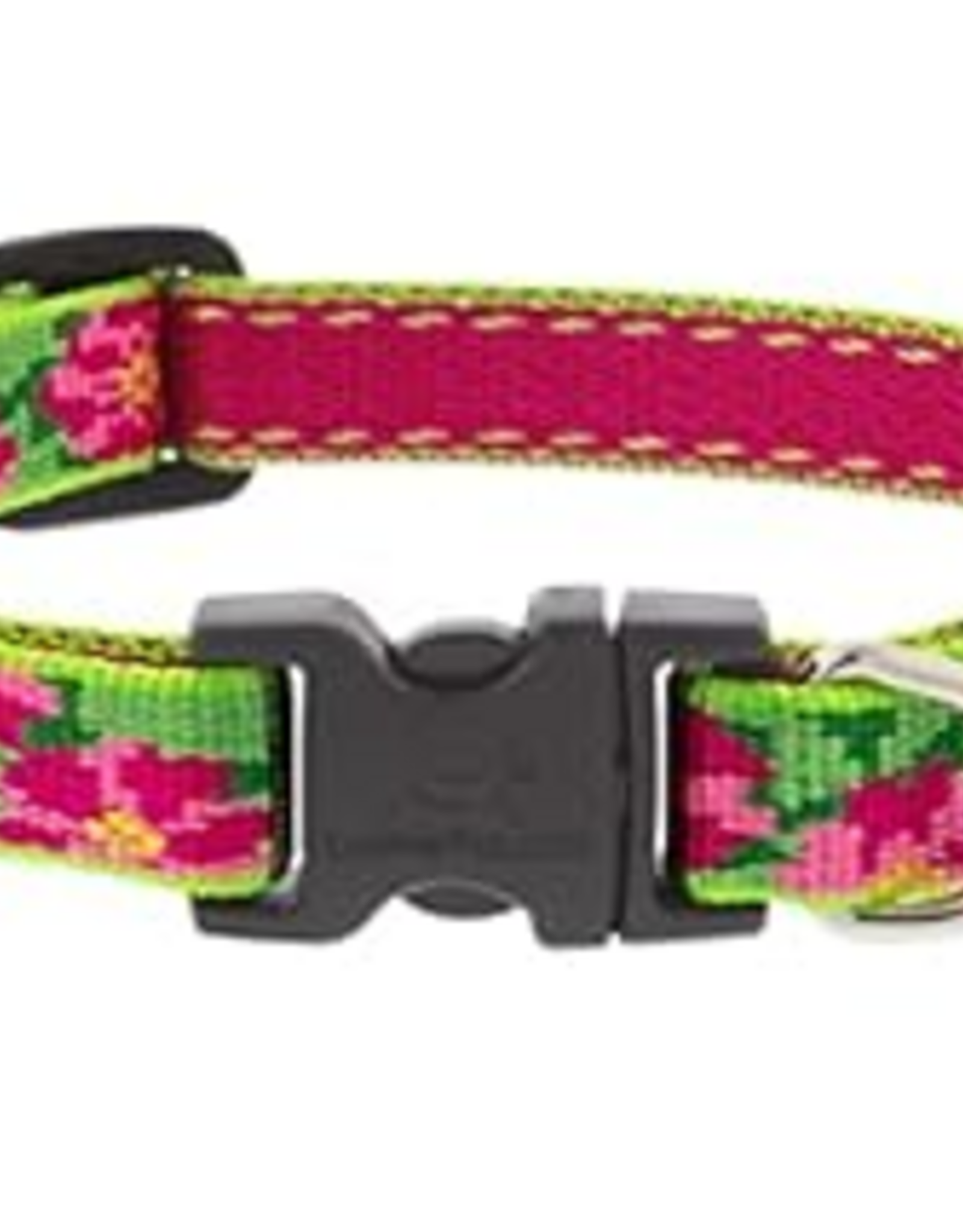 LupinePet LupinePet Collar Small Dog 1/2