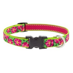 LupinePet LupinePet Dog Collar 3/4", 13-22" Petunias
