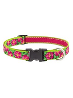 LupinePet LupinePet Dog Collar 3/4", 9-14" Petunias