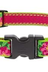 LupinePet LupinePet Collar Small Dog 3/4