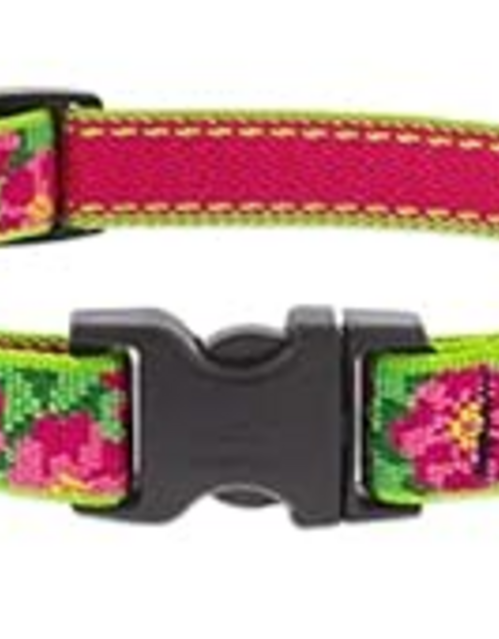 LupinePet LupinePet Collar Small Dog 3/4