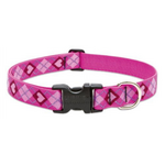 LupinePet LupinePet Dog Collar 1", 12-20" Puppy Love