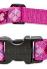 LupinePet LupinePet Collar 1" 12-20" PUPPY LOVE