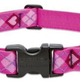LupinePet LupinePet Dog Collar 1", 12-20" Puppy Love