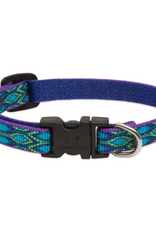 LupinePet LupinePet Collar Rain Song 1 Inch Wide Adj x 12-20 Inch Neck