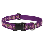 LupinePet LupinePet Dog Collar 1", 12-20" Rose Garden