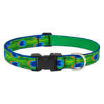 LupinePet LupinePet Dog Collar 1", 12-20" Tail Feathers
