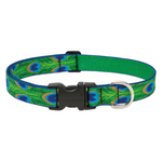 LupinePet LupinePet Dog Collar 1", 16-28" Tail Feathers