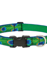 LupinePet Lupinepet Collar 1" 16-28"  TAIL FEATHERS
