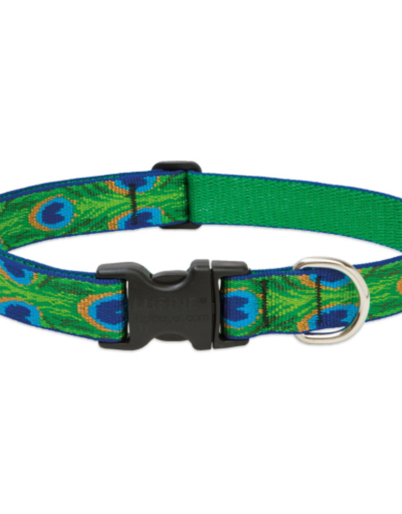LupinePet Lupinepet Collar 1" 16-28"  TAIL FEATHERS
