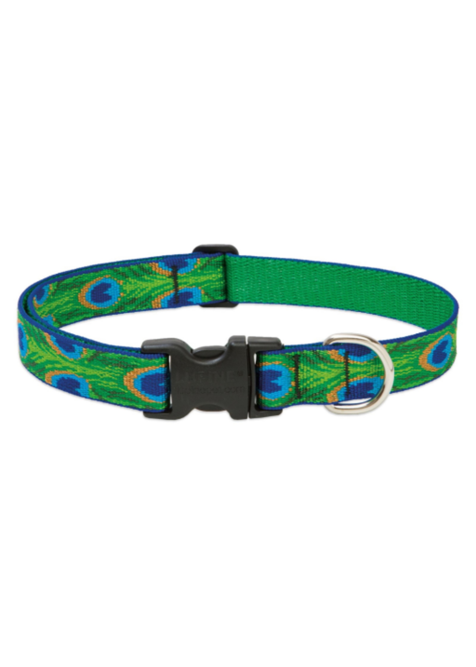LupinePet LupinePet Dog Collar 1", 16-28" Tail Feathers