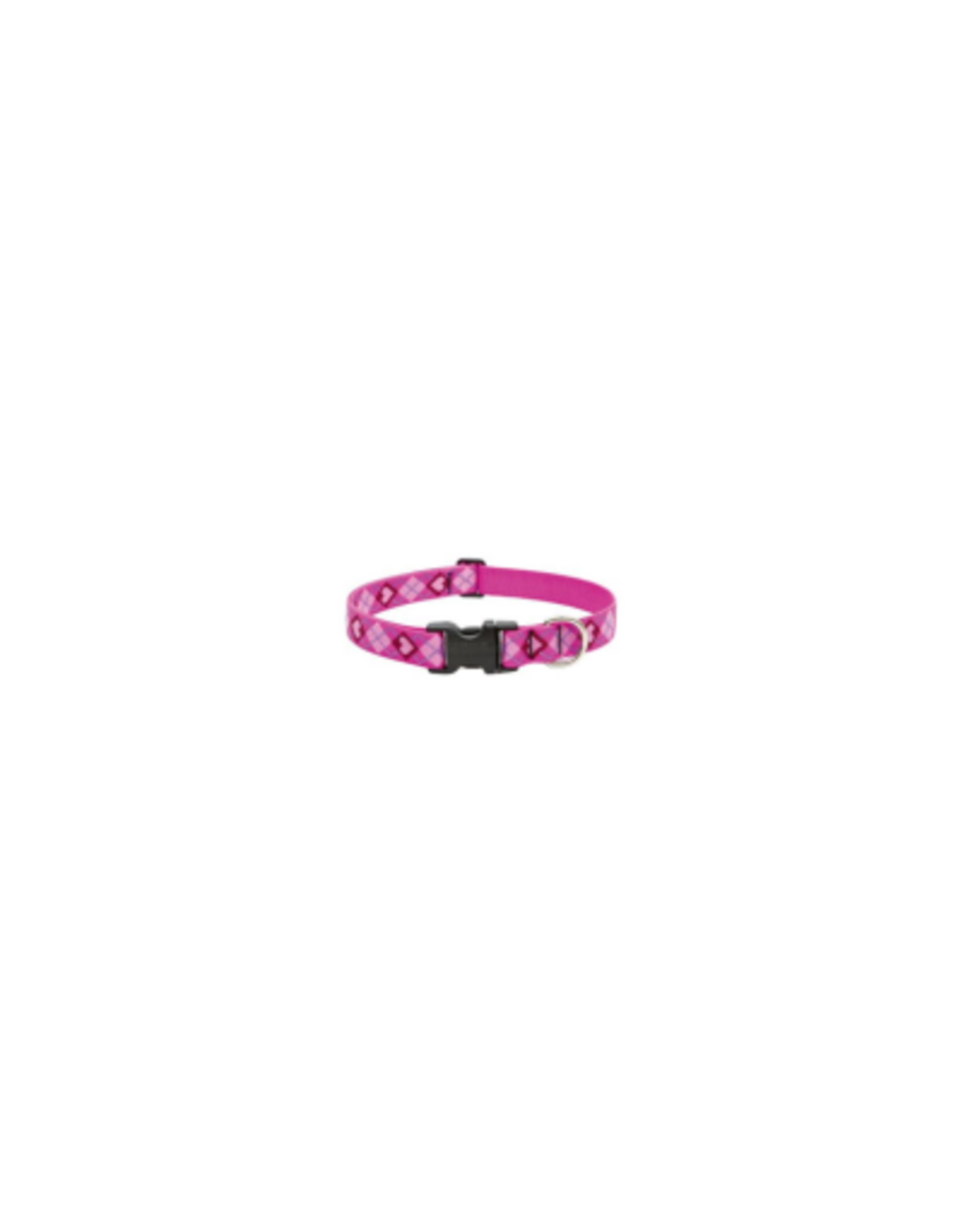 LupinePet LupinePet Collar 1" 16-28" PUPPY LOVE