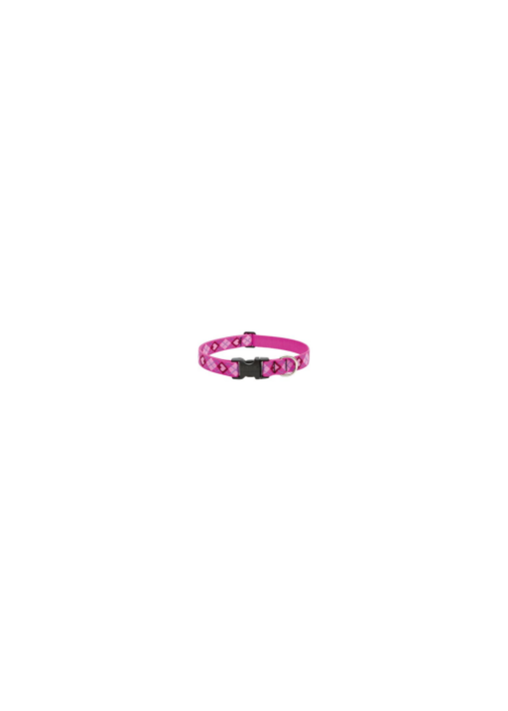 LupinePet LupinePet Dog Collar 1", 16-28" Puppy Love