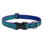 LupinePet LupinePet Dog Collar 1", 16-28" Rain Song