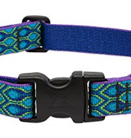 LupinePet LupinePet Dog Collar 1", 16-28" Rain Song