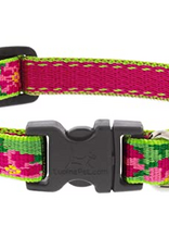 LupinePet LupinePet Collar Small Dog 1/2